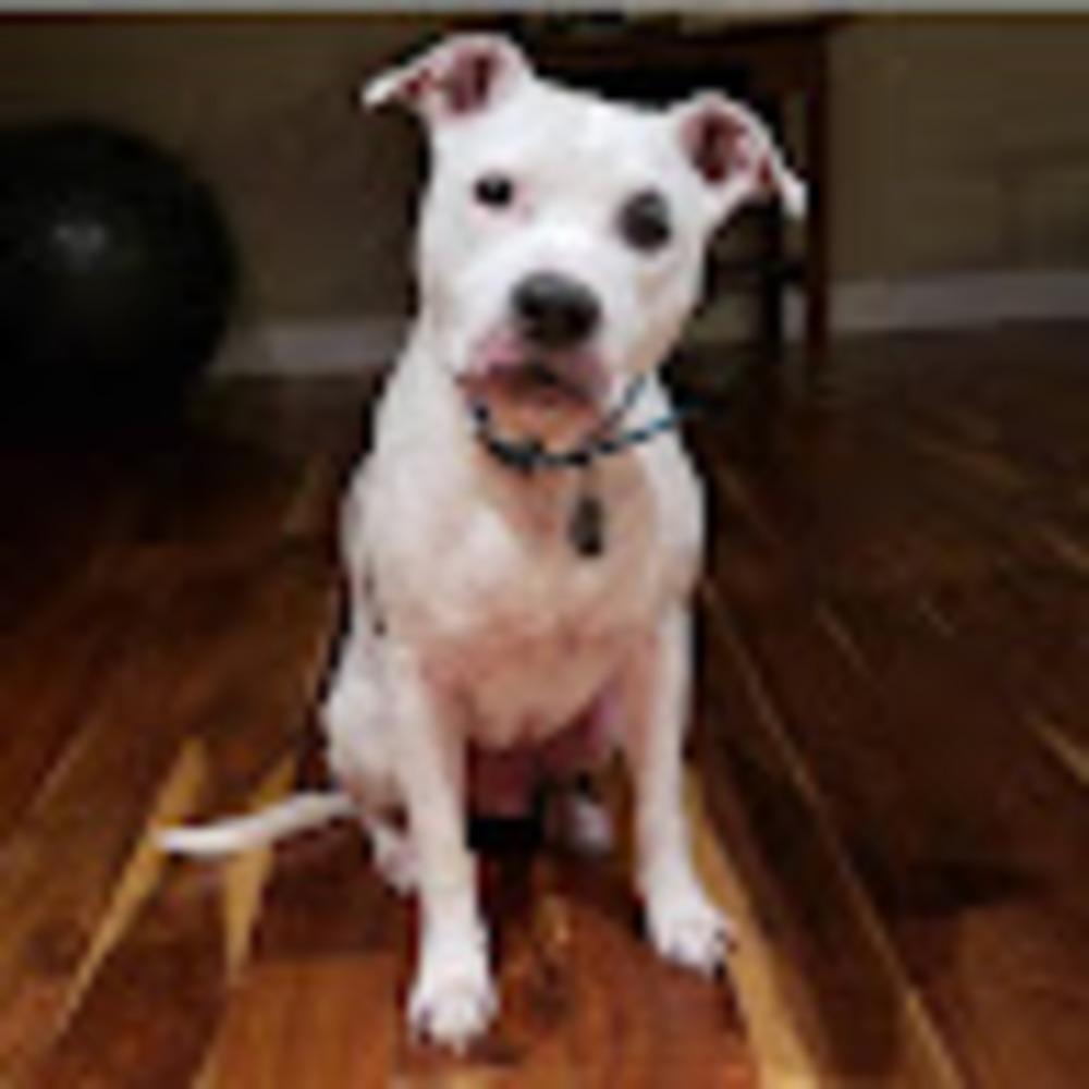 Meet your Posher, Jade